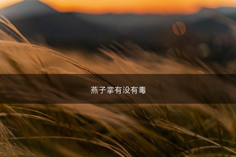 燕子掌有没有毒(图1) 燕子掌有没有毒(图1)