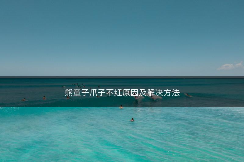 熊童子爪子不红原因及解决方法(图1) 熊童子爪子不红原因及解决方法(图1)