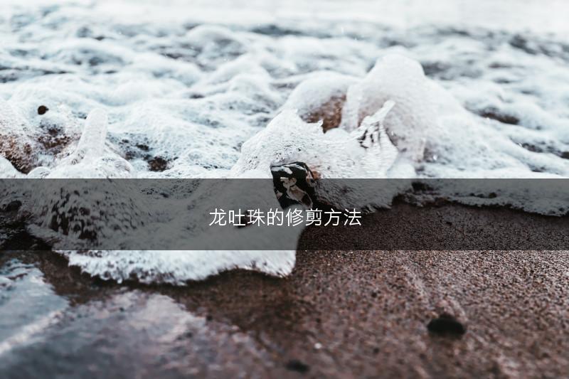 龙吐珠的修剪方法(图1) 龙吐珠的修剪方法(图1)