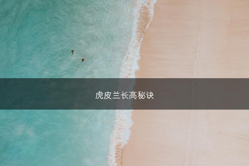 虎皮兰长高秘诀(图1) 虎皮兰长高秘诀(图1)