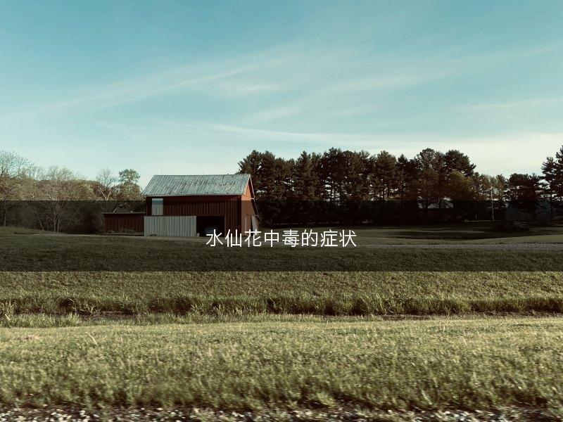 水仙花中毒的症状(图1) 水仙花中毒的症状(图1)