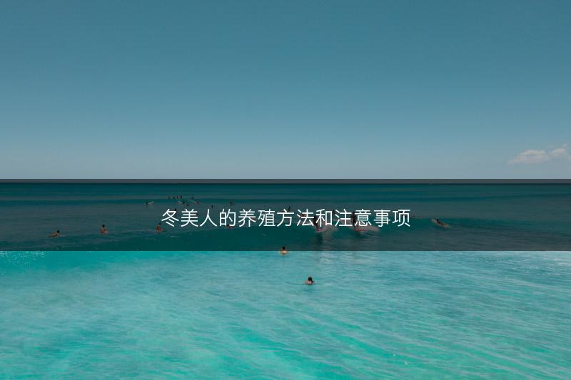 冬美人的养殖方法和注意事项(图1) 冬美人的养殖方法和注意事项(图1)