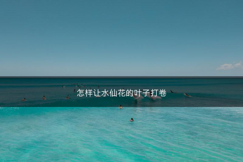 怎样让水仙花的叶子打卷(图1) 怎样让水仙花的叶子打卷(图1)