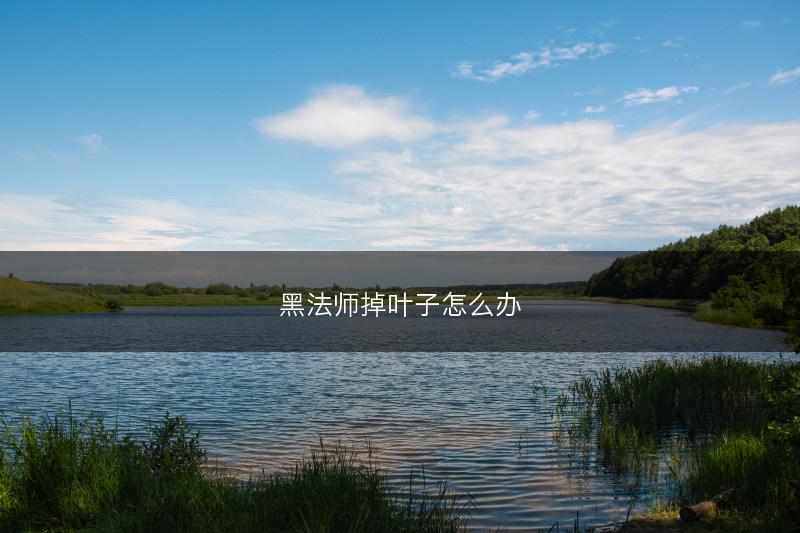 黑法师掉叶子怎么办(图1) 黑法师掉叶子怎么办(图1)