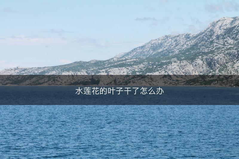 水莲花的叶子干了怎么办(图1) 水莲花的叶子干了怎么办(图1)