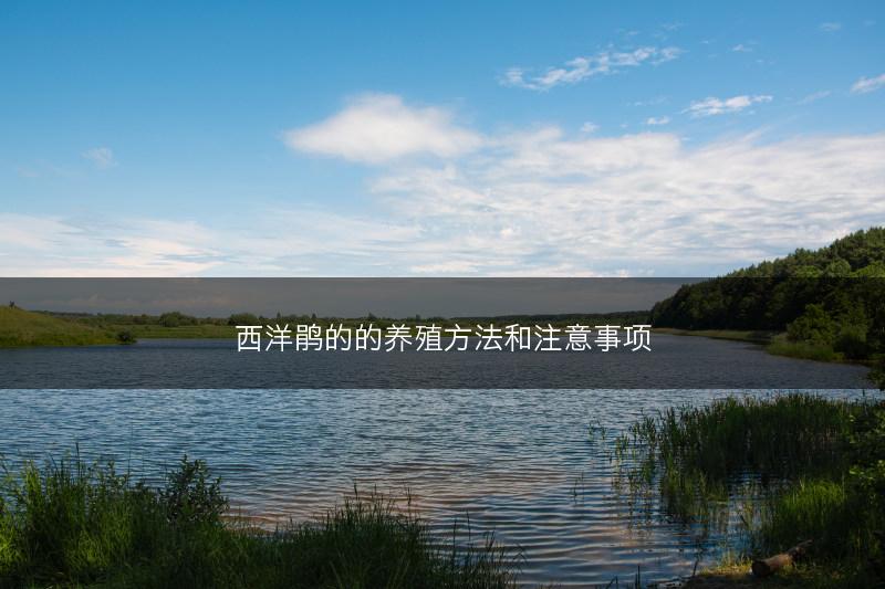 西洋鹃的的养殖方法和注意事项(图1) 西洋鹃的的养殖方法和注意事项(图1)