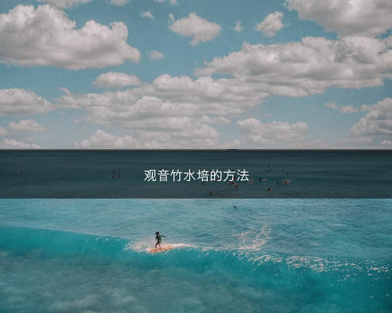 观音竹水培的方法(图1)