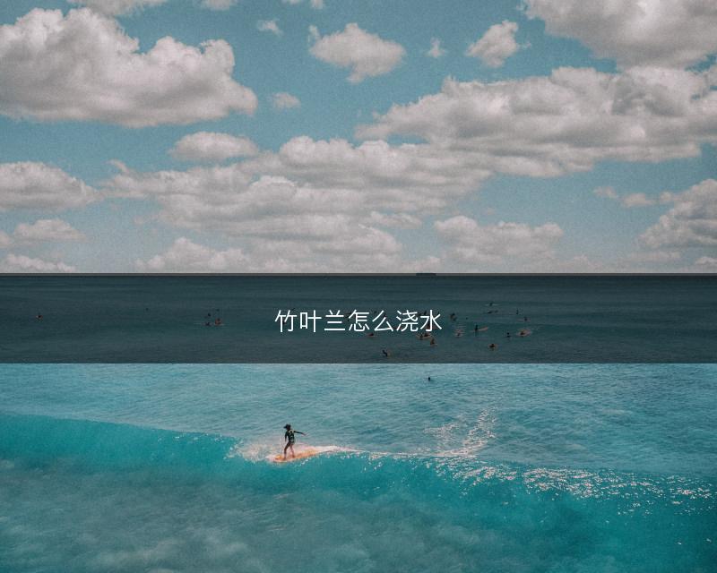 竹叶兰怎么浇水(图1) 竹叶兰怎么浇水(图1)