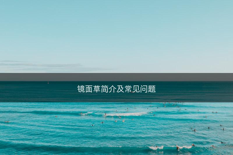 镜面草简介及常见问题(图1) 镜面草简介及常见问题(图1)