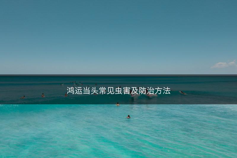 鸿运当头常见虫害及防治方法(图1) 鸿运当头常见虫害及防治方法(图1)