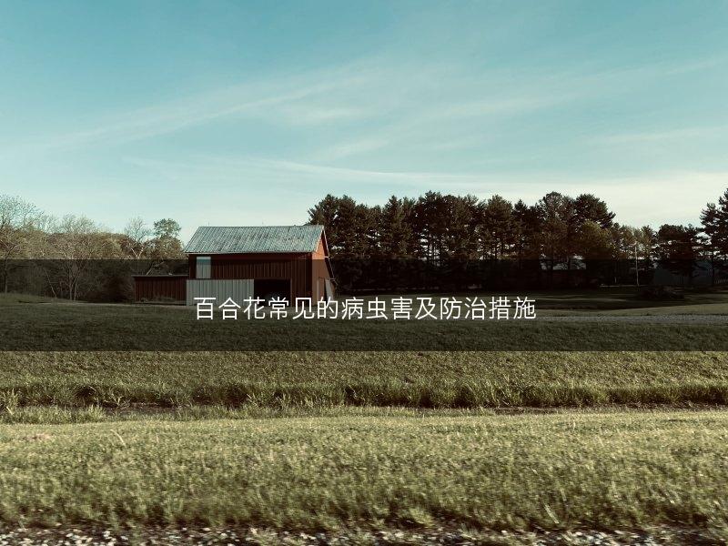 百合花常见的病虫害及防治措施(图1)