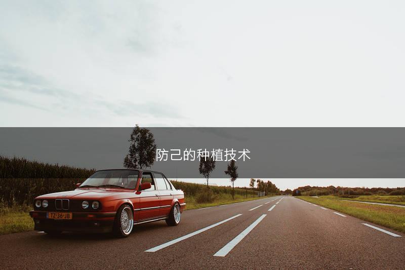 防己的种植技术(图1)
