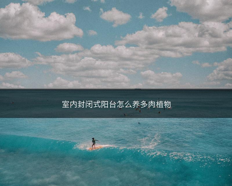 室内封闭式阳台怎么养多肉植物(图1) 室内封闭式阳台怎么养多肉植物(图1)