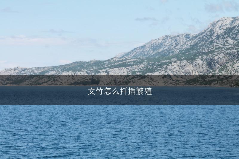 文竹怎么扦插繁殖(图1) 文竹怎么扦插繁殖(图1)