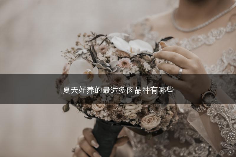 夏天好养的最适多肉品种有哪些(图1) 夏天好养的最适多肉品种有哪些(图1)