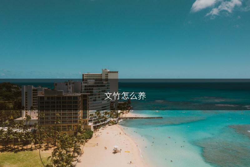 文竹怎么养(图1) 文竹怎么养(图1)