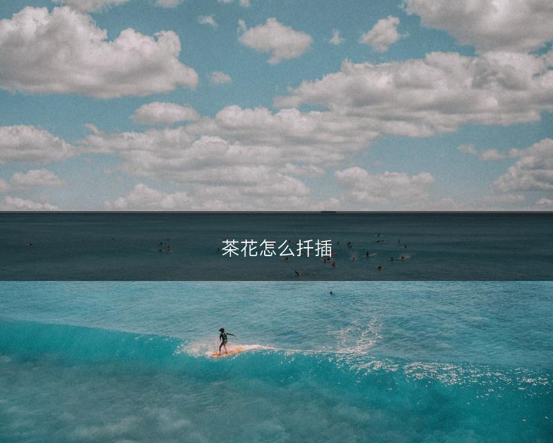 茶花怎么扦插(图1)
