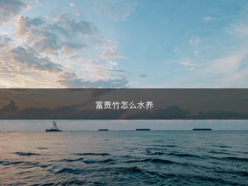 富贵竹怎么水养(图1) 富贵竹怎么水养(图1)