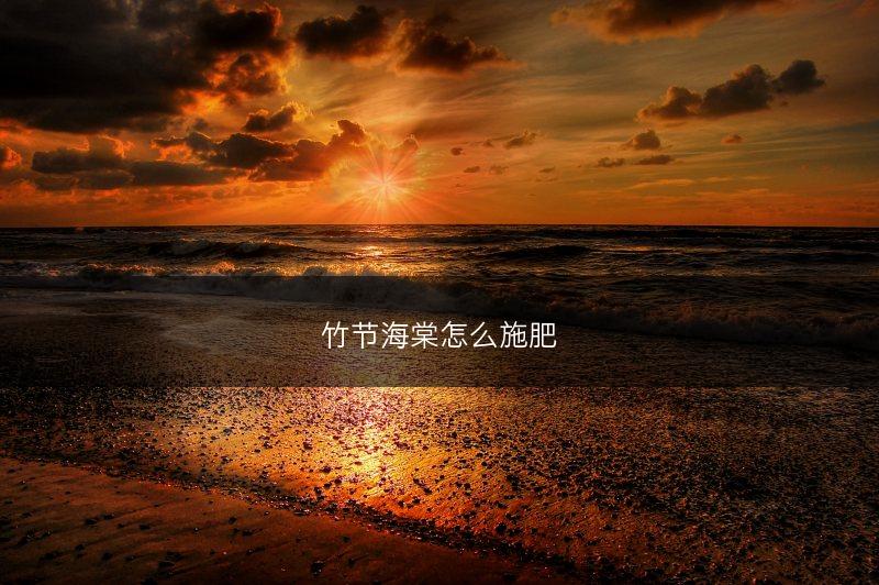 竹节海棠怎么施肥(图1)