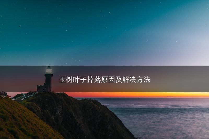 玉树叶子掉落原因及解决方法(图1) 玉树叶子掉落原因及解决方法(图1)