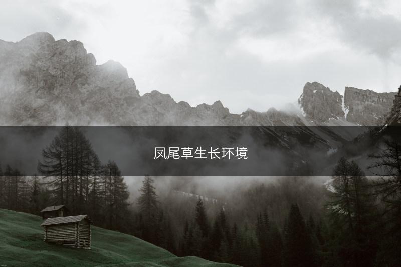 凤尾草生长环境(图1)