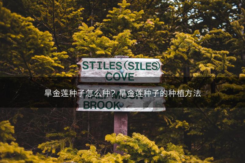 旱金莲种子怎么种?旱金莲种子的种植方法(图1) 旱金莲种子怎么种?旱金莲种子的种植方法(图1)