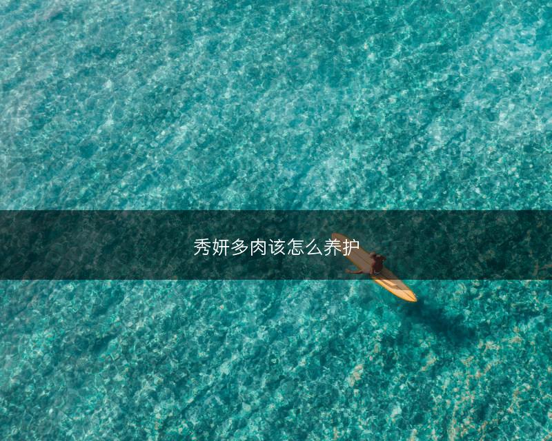 秀妍多肉该怎么养护(图1) 秀妍多肉该怎么养护(图1)