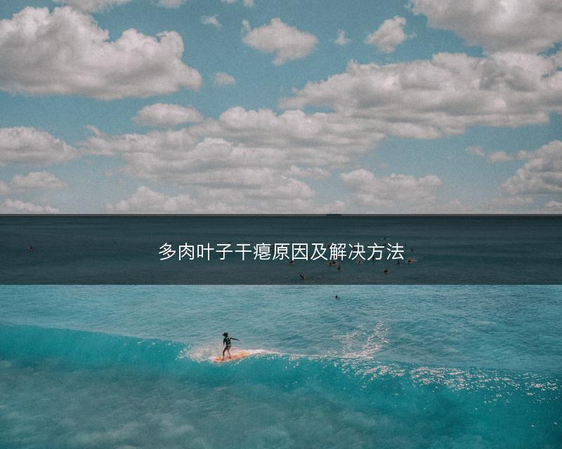 多肉叶子干瘪原因及解决方法(图1) 多肉叶子干瘪原因及解决方法(图1)