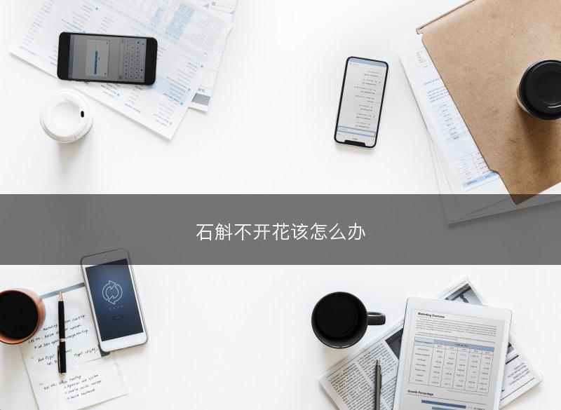 石斛不开花该怎么办(图1) 石斛不开花该怎么办(图1)