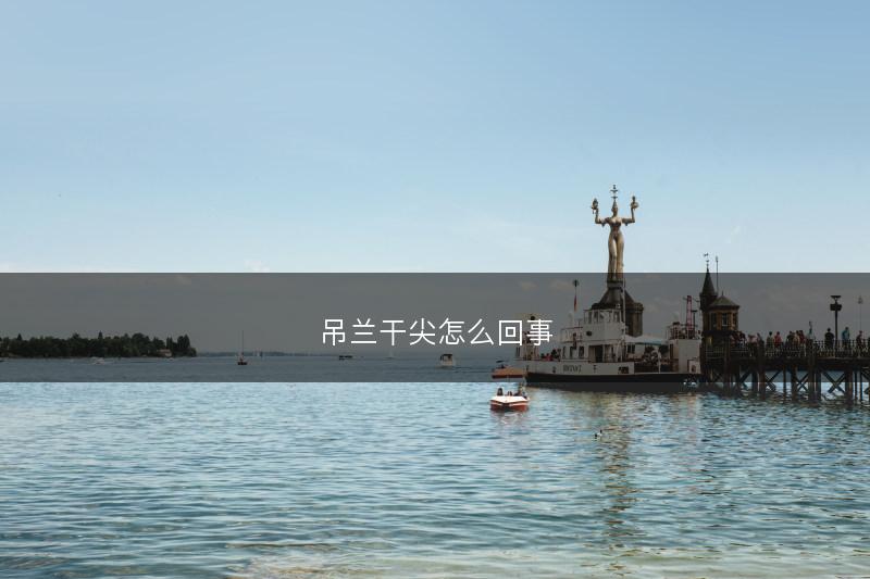 吊兰干尖怎么回事(图1) 吊兰干尖怎么回事(图1)