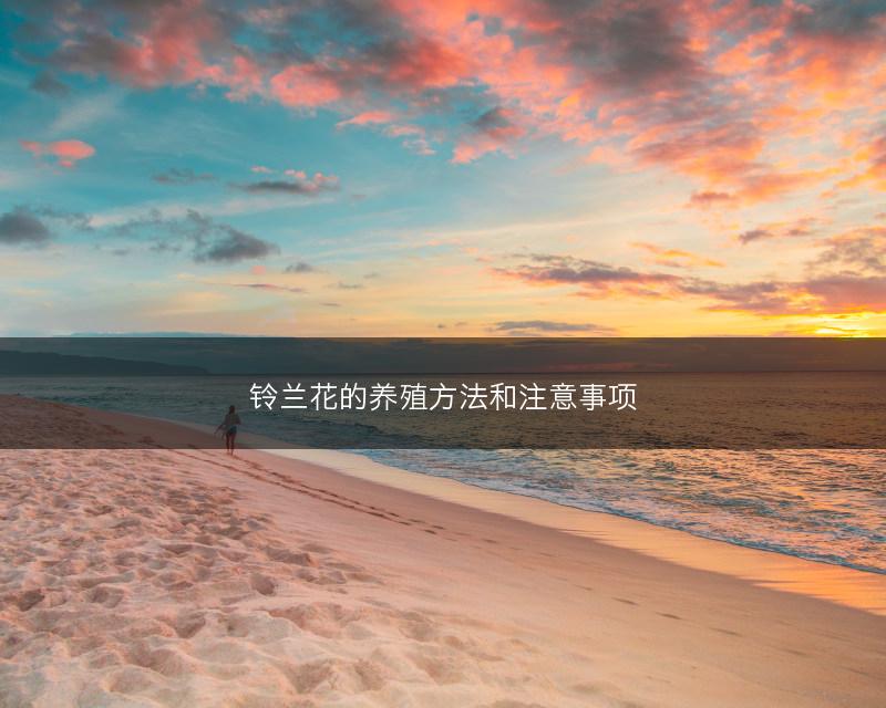 铃兰花的养殖方法和注意事项(图1) 铃兰花的养殖方法和注意事项(图1)