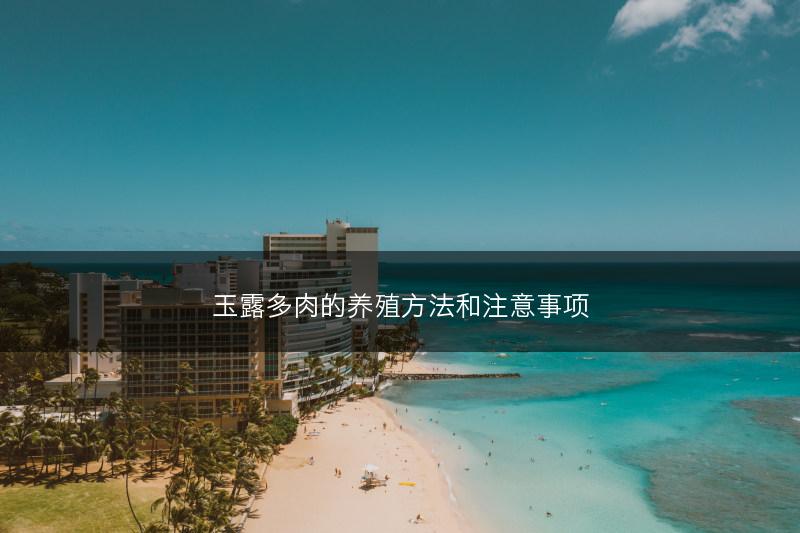 玉露多肉的养殖方法和注意事项(图1) 玉露多肉的养殖方法和注意事项(图1)