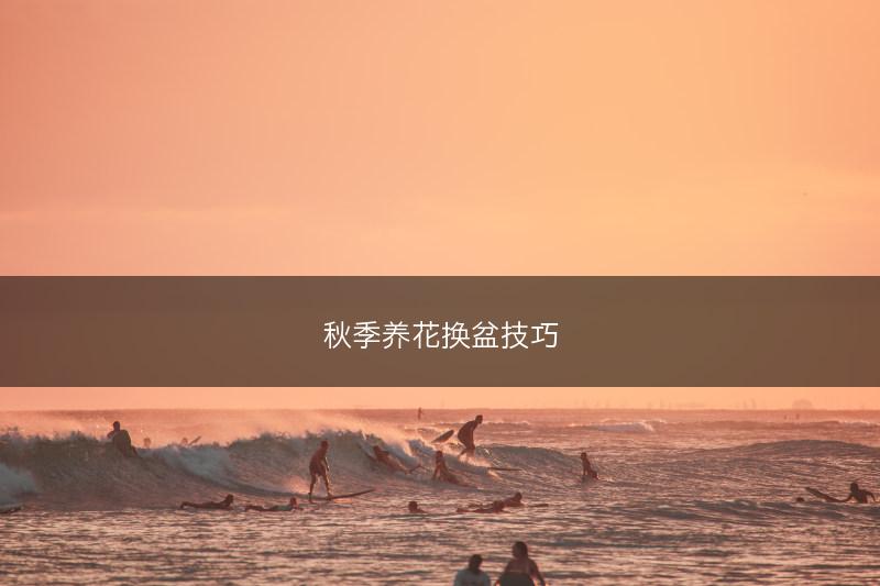 秋季养花换盆技巧(图1) 秋季养花换盆技巧(图1)