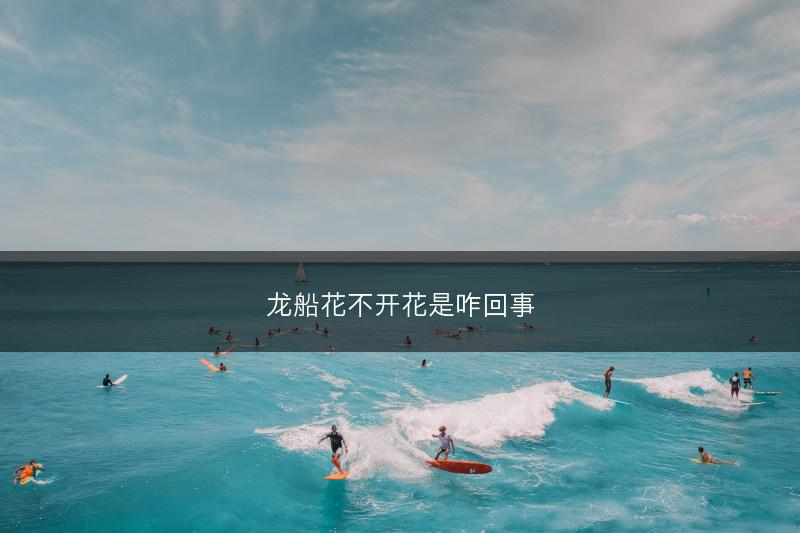 龙船花不开花是咋回事(图1) 龙船花不开花是咋回事(图1)