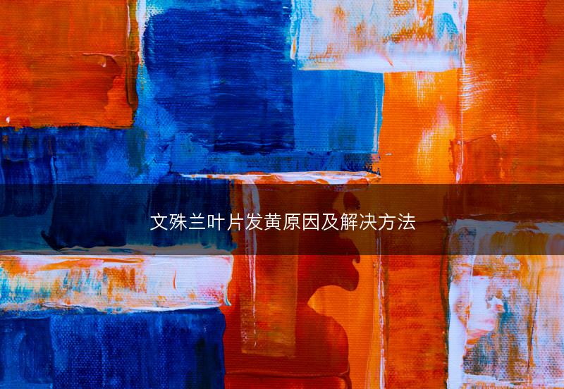 文殊兰叶片发黄原因及解决方法(图1)