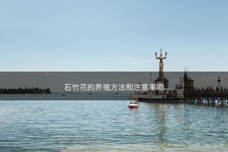 石竹花的养殖方法和注意事项(图1) 石竹花的养殖方法和注意事项(图1)