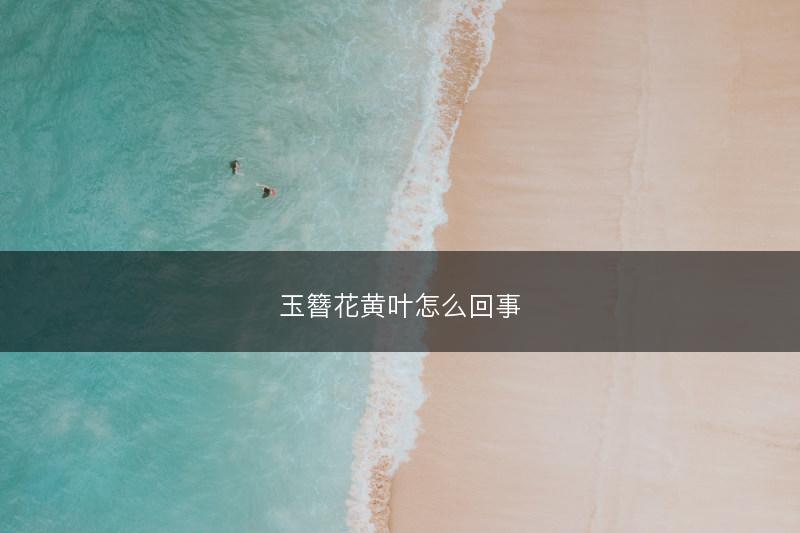 玉簪花黄叶怎么回事(图1) 玉簪花黄叶怎么回事(图1)