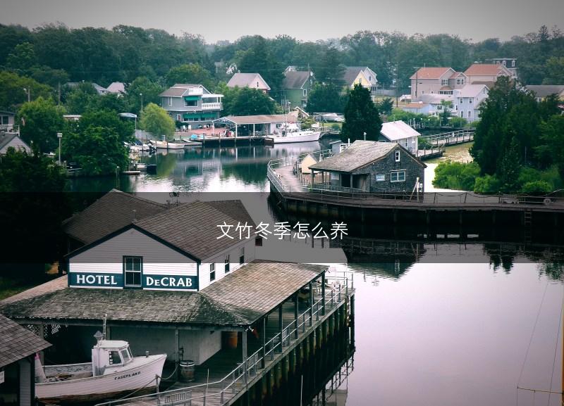 文竹冬季怎么养(图1) 文竹冬季怎么养(图1)