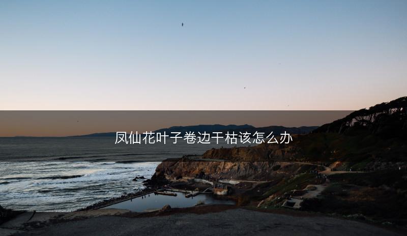 凤仙花叶子卷边干枯该怎么办(图1)