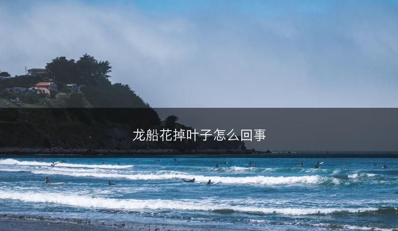 龙船花掉叶子怎么回事(图1)