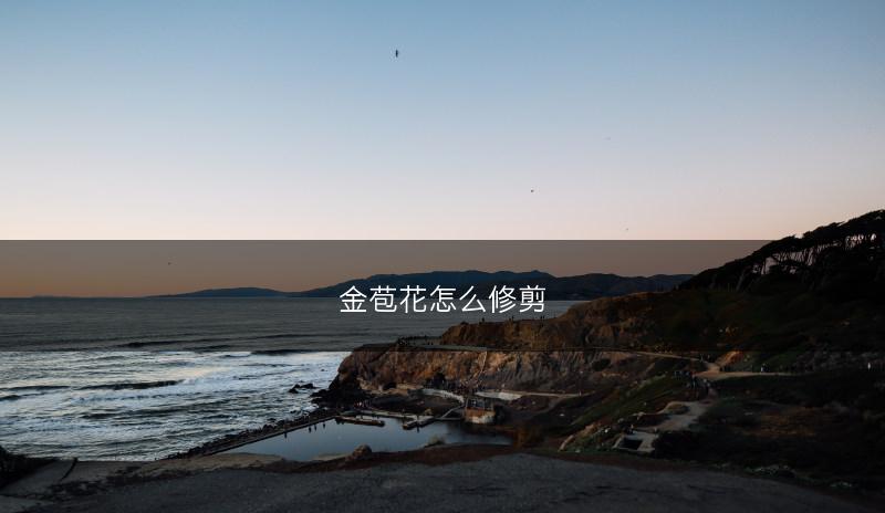 金苞花怎么修剪(图1)