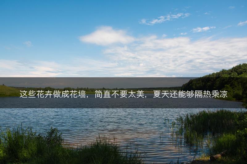 这些花卉做成花墙，简直不要太美，夏天还能够隔热乘凉(图1)