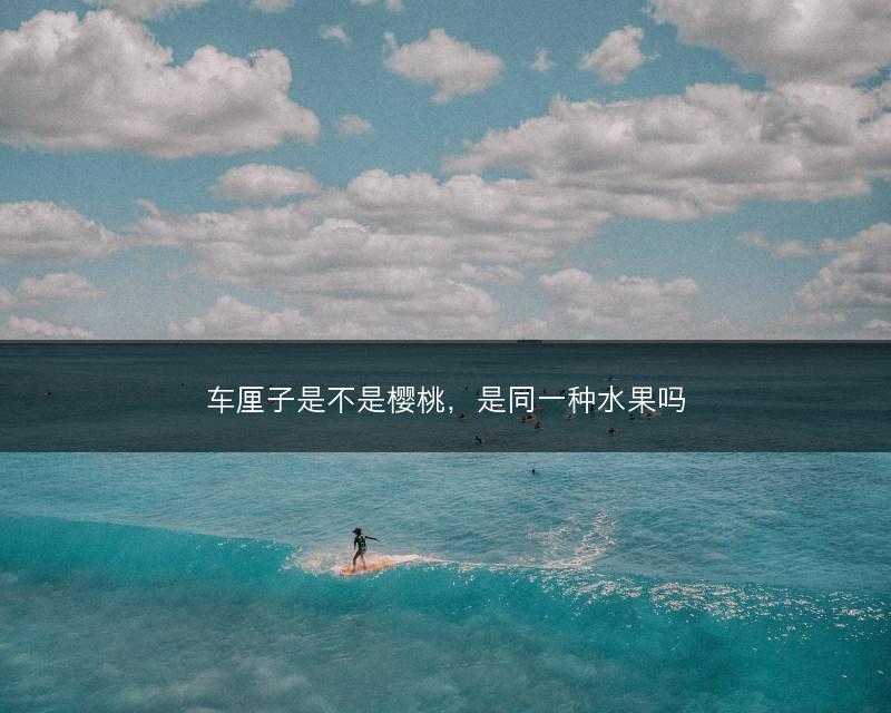 车厘子是不是樱桃，是同一种水果吗(图1)