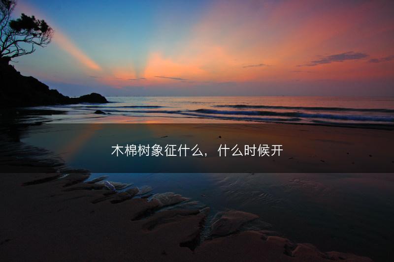 木棉树象征什么，什么时候开(图1)