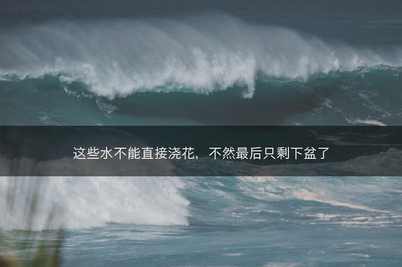 这些水不能直接浇花，不然最后只剩下盆了(图1)