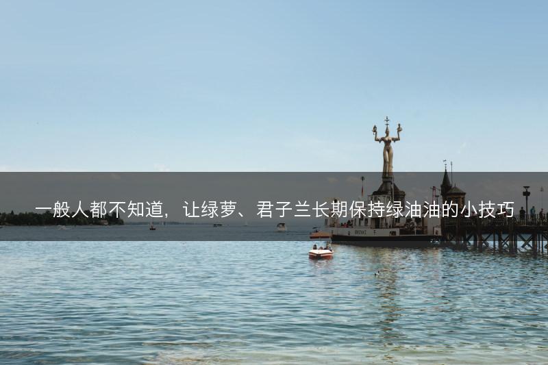 一般人都不知道，让绿萝、君子兰长期保持绿油油的小技巧(图1)
