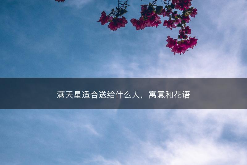 满天星适合送给什么人,寓意和花语(图1) 满天星适合送给什么人,寓意和花语(图1)