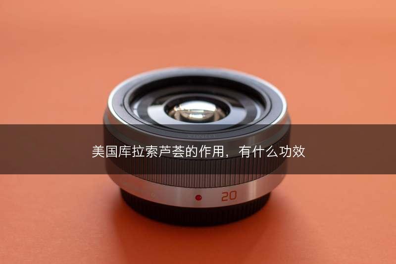 美国库拉索芦荟的作用，有什么功效(图1)