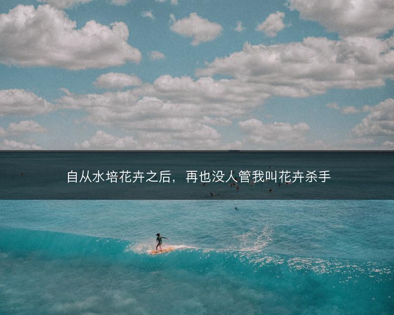 自从水培花卉之后，再也没人管我叫花卉杀手(图1)