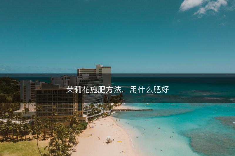 茉莉花施肥方法，用什么肥好(图1)